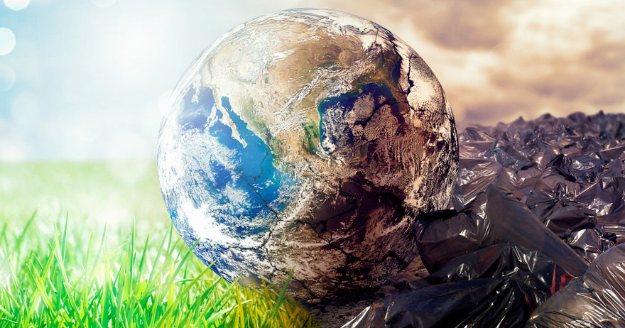 2050 el año de una tierra inhabitable